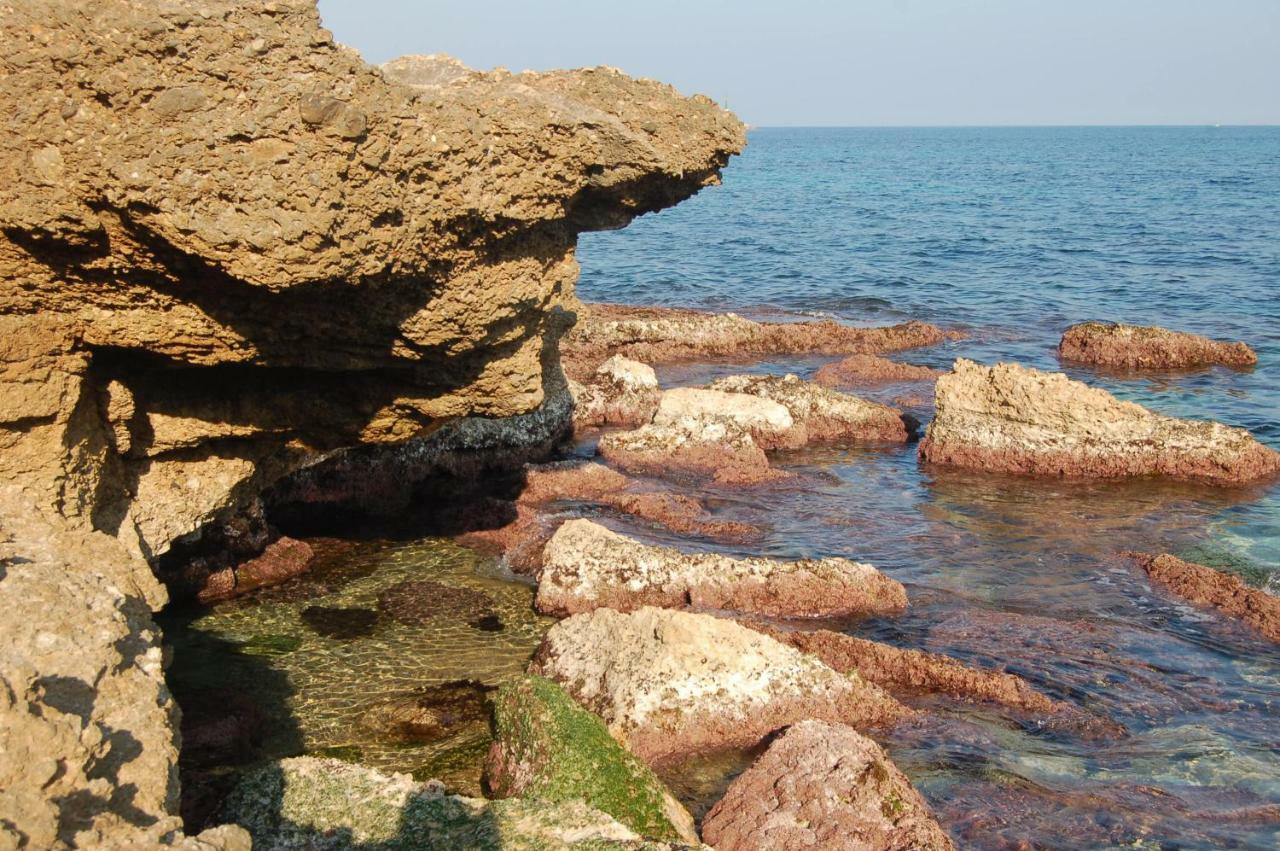 Vistas Al Mar Lägenhet L'Ametlla de Mar Exteriör bild